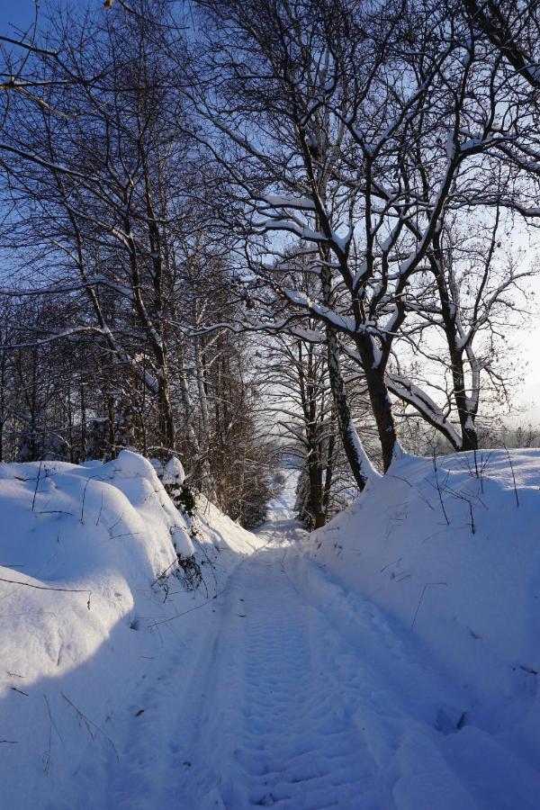 Uroczy Z Kominkiem Holiday home Lipowa