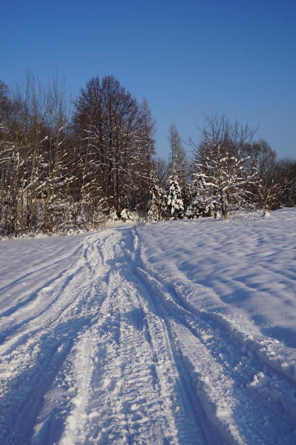 Uroczy Z Kominkiem Lipowa