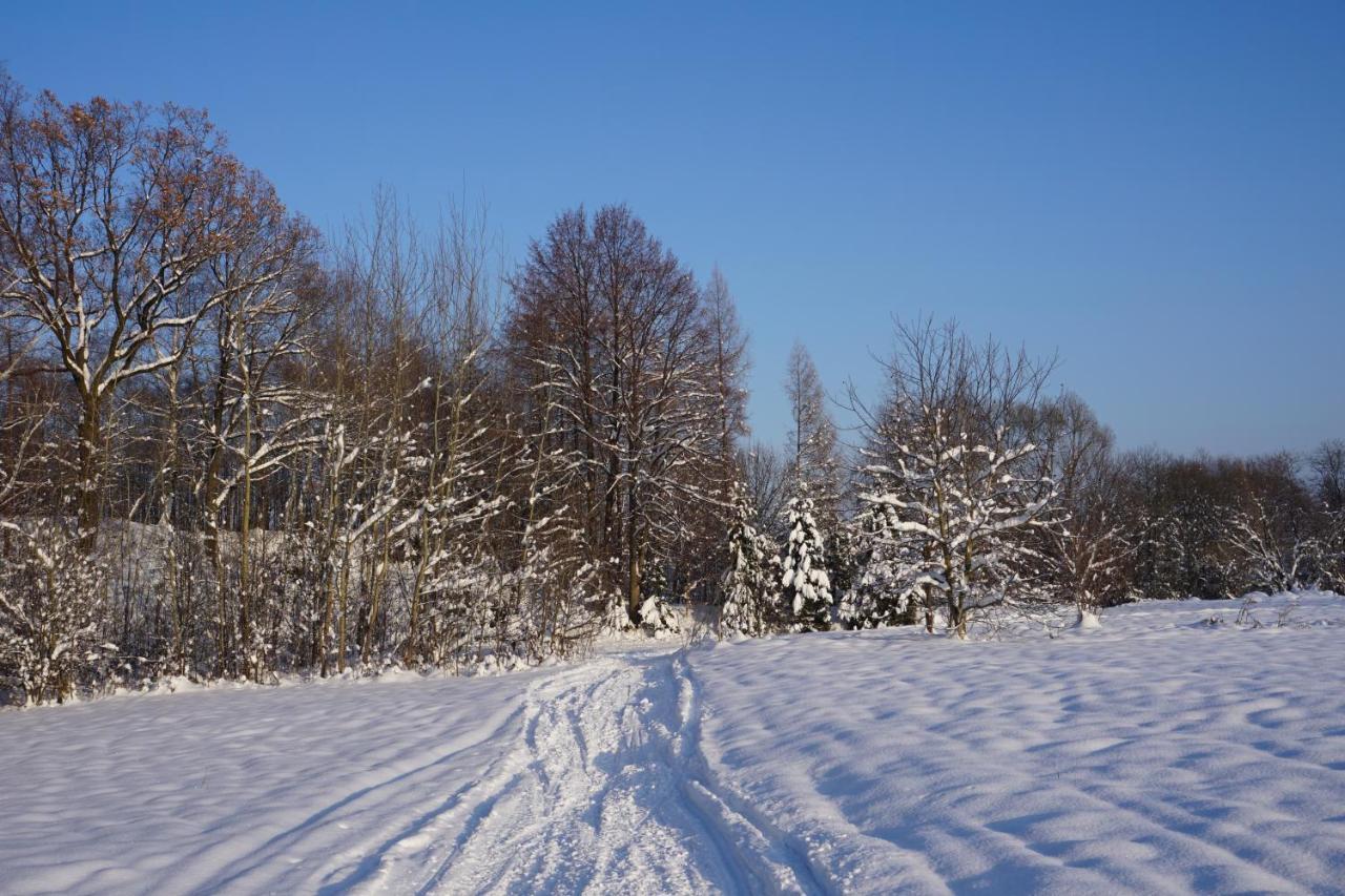 Holiday home Uroczy Z Kominkiem Lipowa